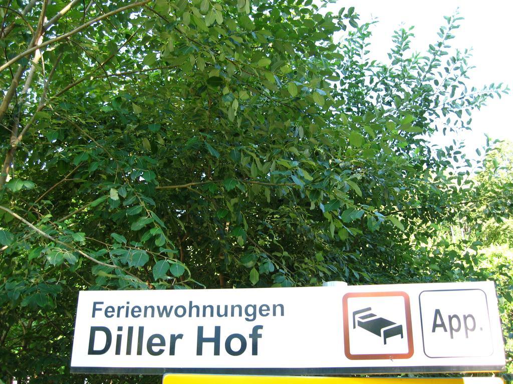 Dillerhof Apartment Laion Exterior photo
