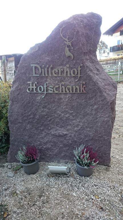 Dillerhof Apartment Laion Exterior photo